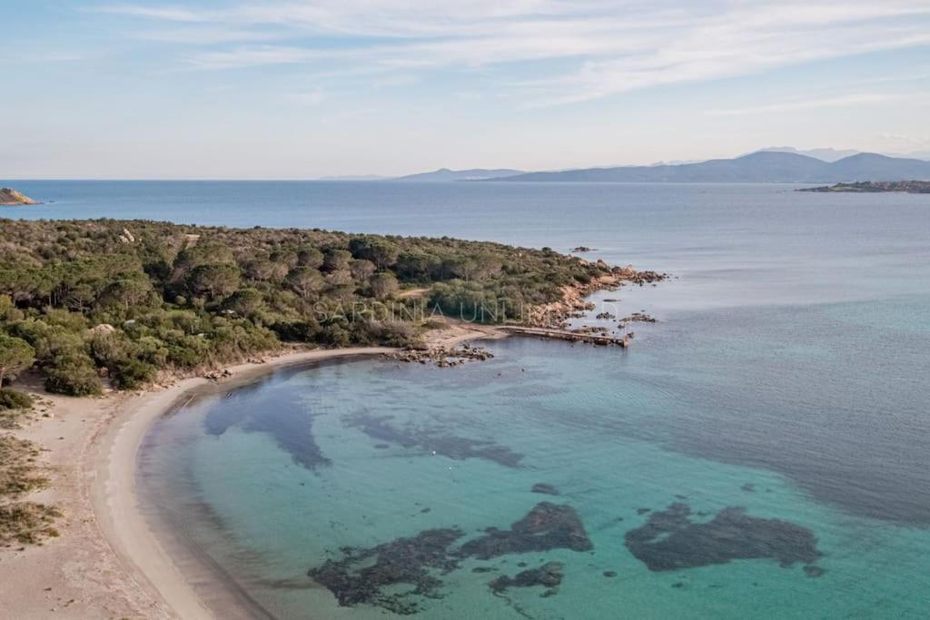 Villa Domus Ardea Capo Coda Cavallo Eksteriør bilde